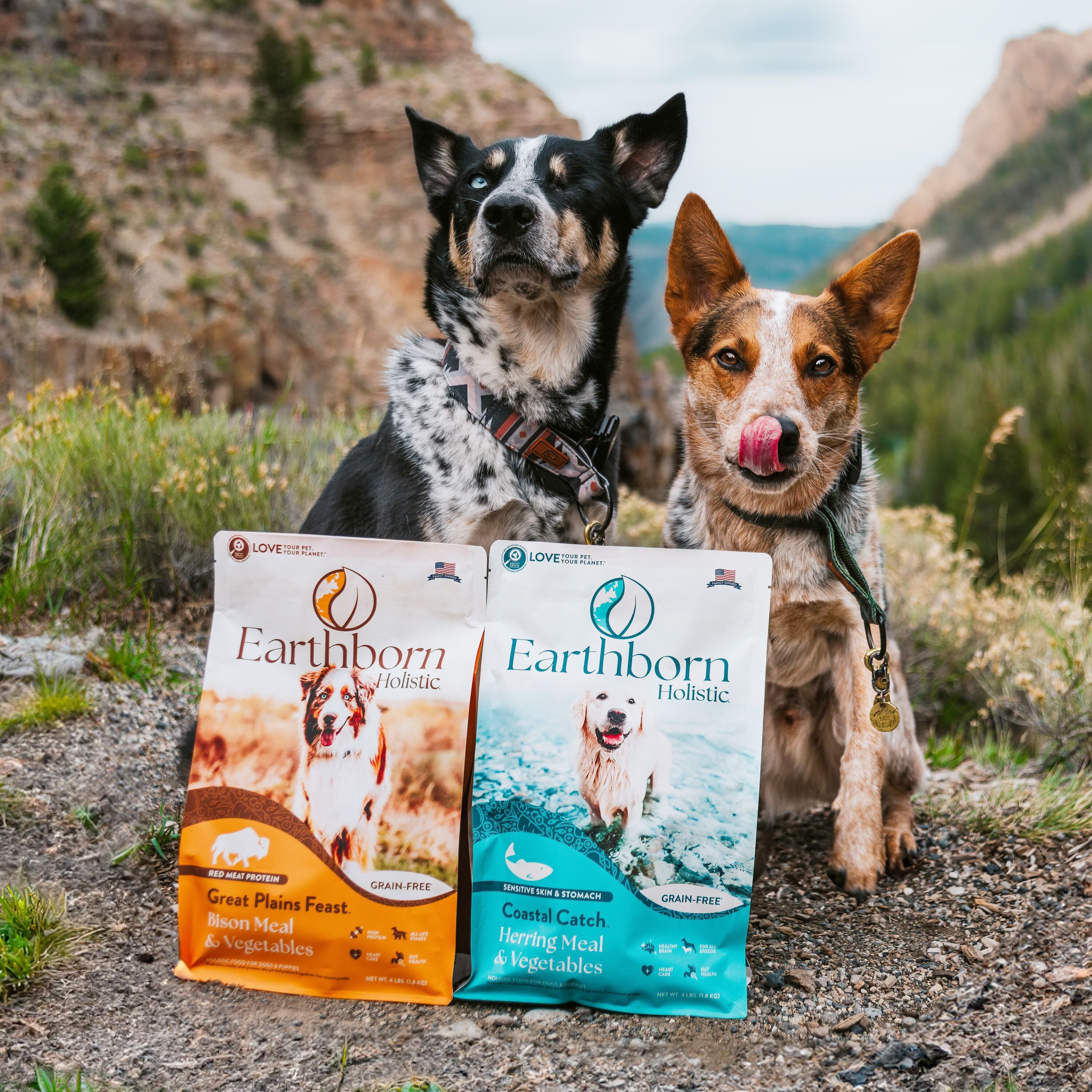 Coastal Catch Herring Meal & Vegetables Grain-Free Dry Dog Food