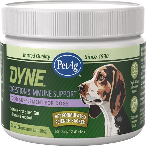 Dyne Digestion & Immune Support Food Supplement for Dogs - 60 Soft Chews