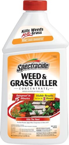 Weed and Grass Killer Concentrate - 32 oz