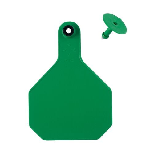 All-American 4* Large Blank 2-Piece Ear Tag in Green - 25 Tags
