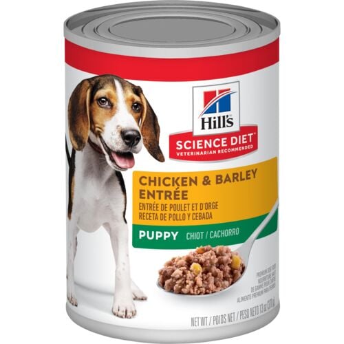 Puppy Chicken & Barley Entree 13 oz