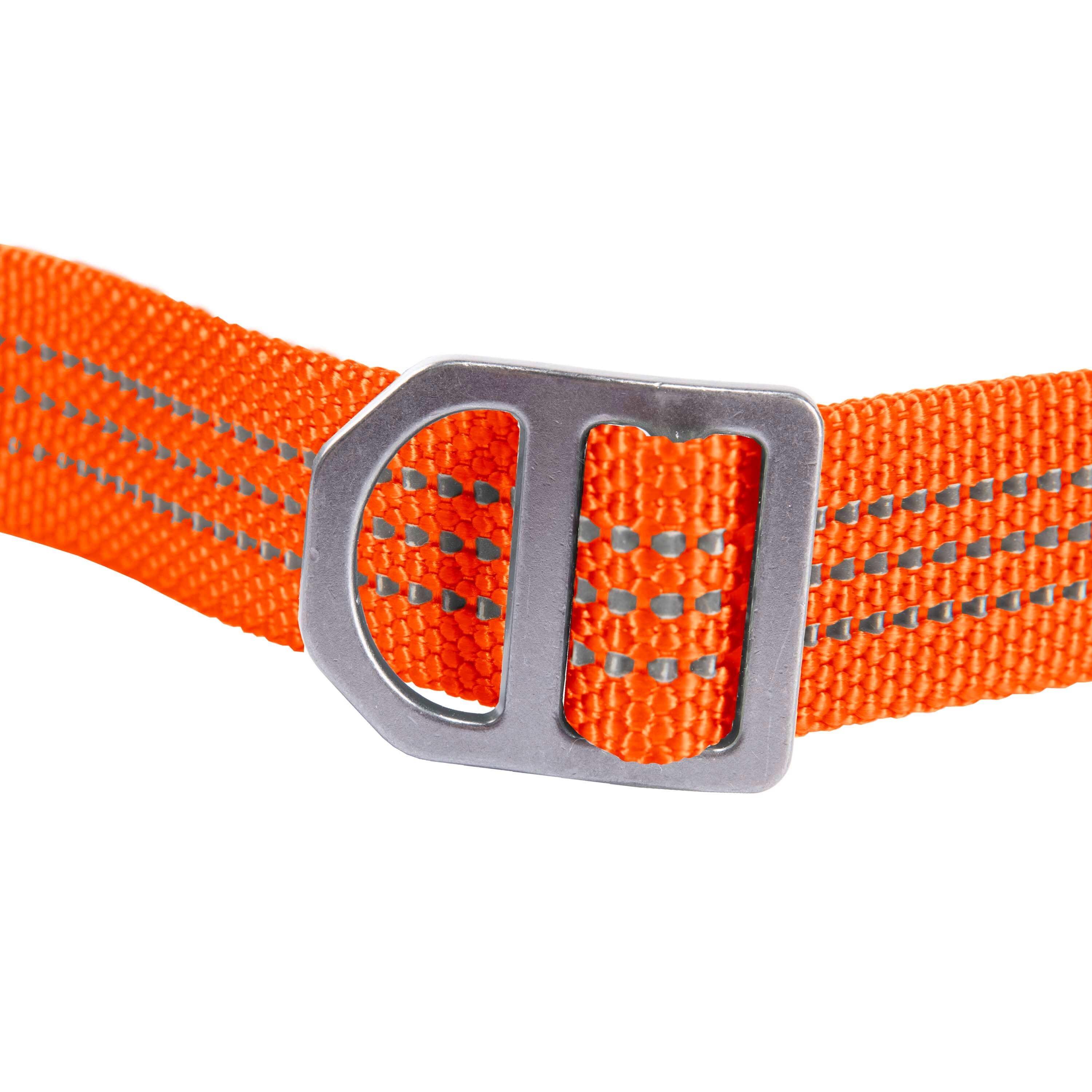 Adjustable Field Dog Leash