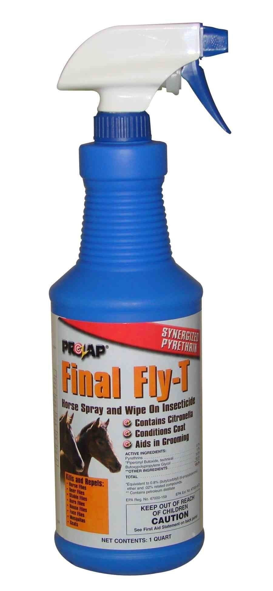 Final-Fly-T