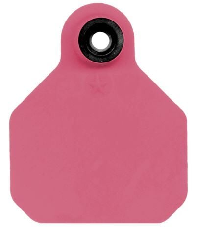 All-American 1* Mini Blank 2-Piece Ear Tag in Pink - 25 Tags