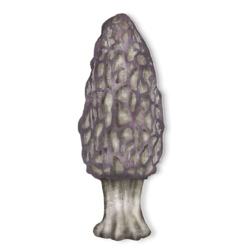 12'' Morel Mushroom Statue