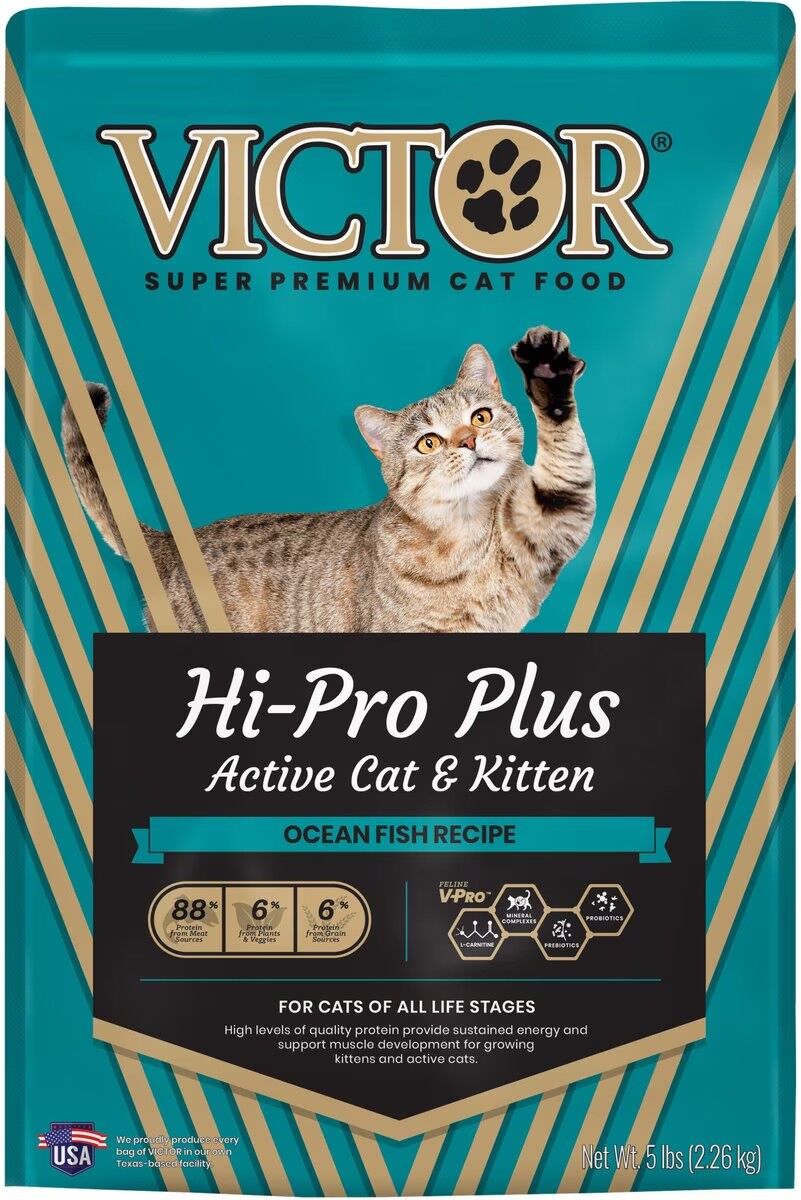 Hi-Pro Plus Active Cat & Kitten Ocean Fish Recipe Dry Cat Food
