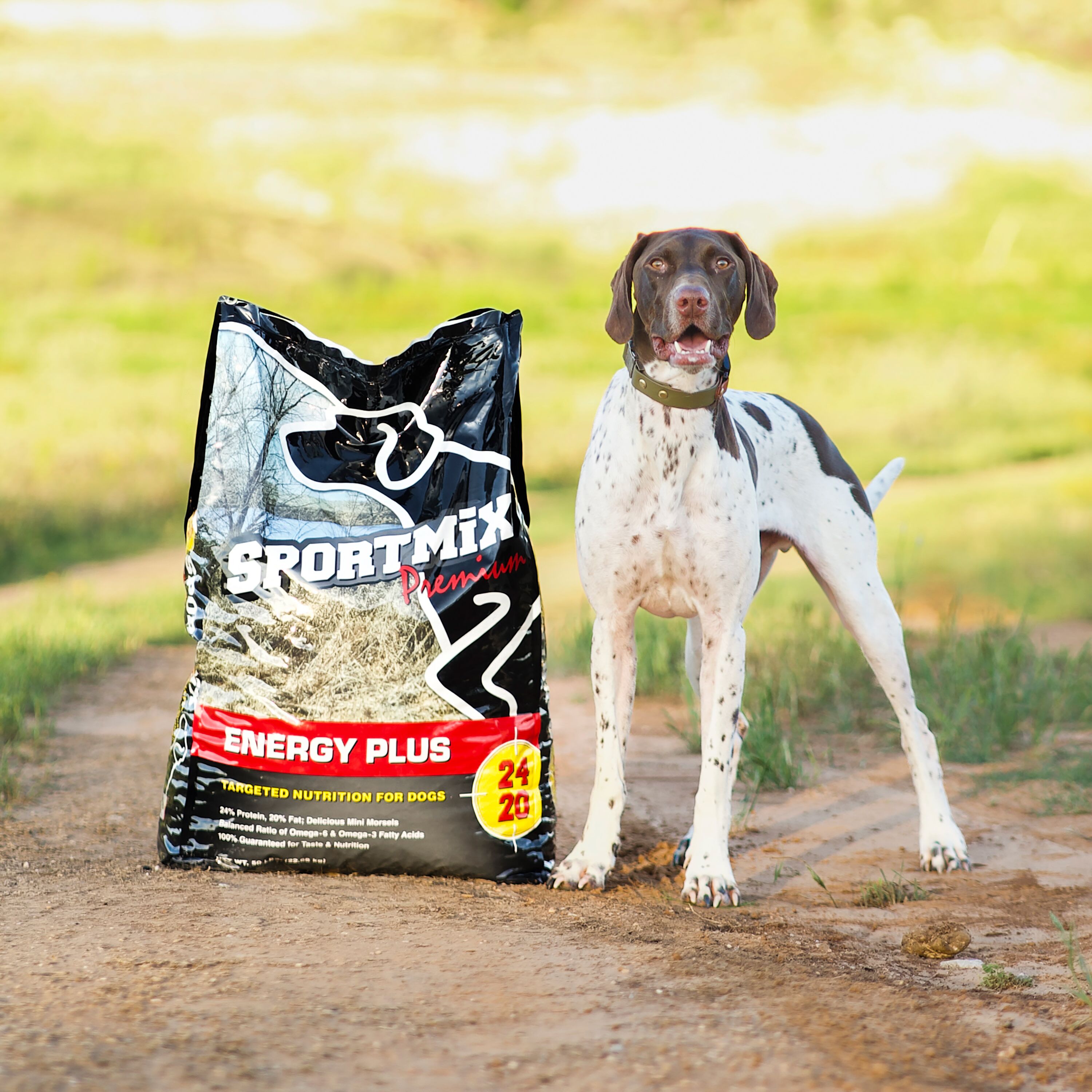 SPORTMiX Premium Energy Plus 24/20 Dry Dog Food - 50 Lb
