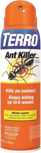 Ant Killer Spray