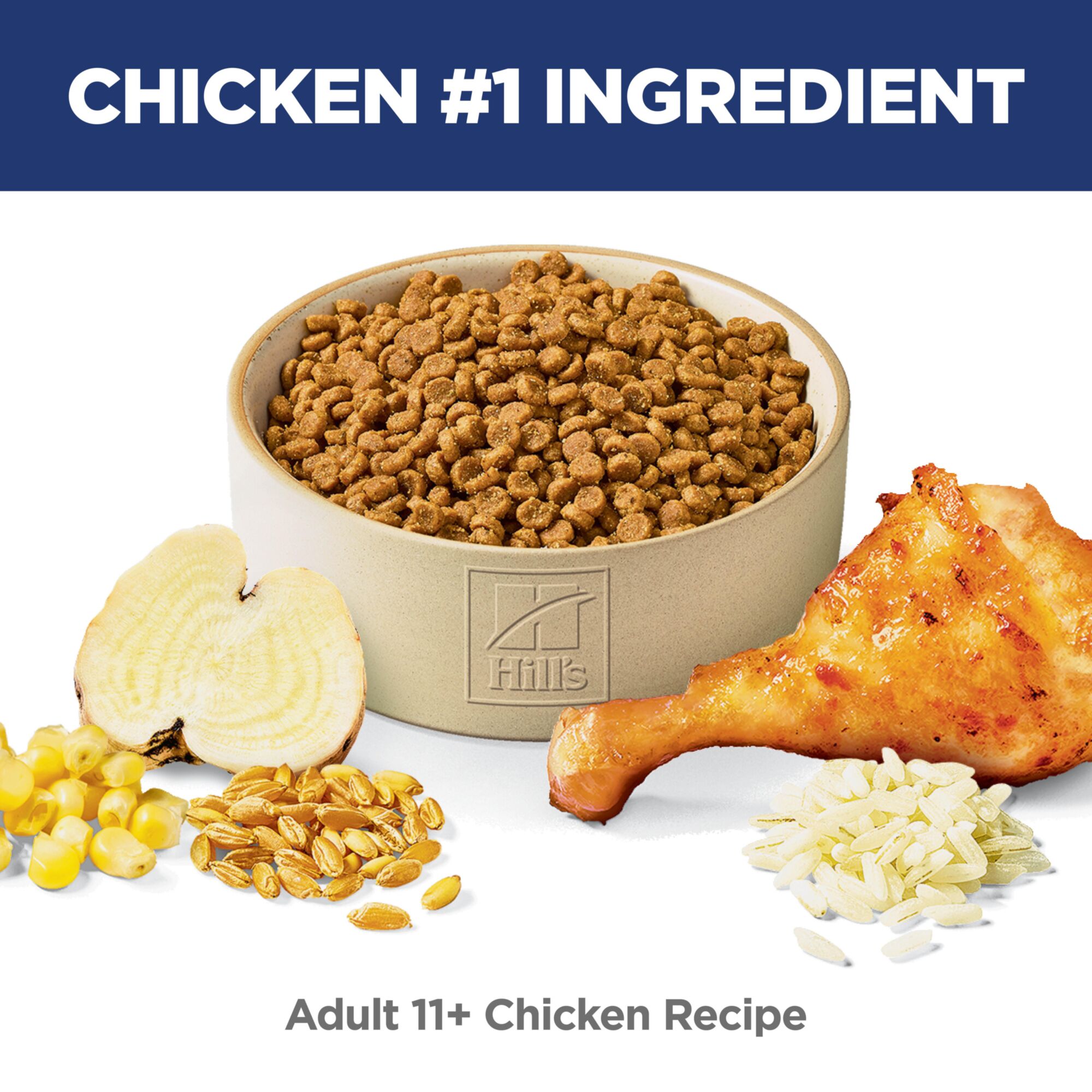 Adult 11+ Chicken Recipe Cat Food