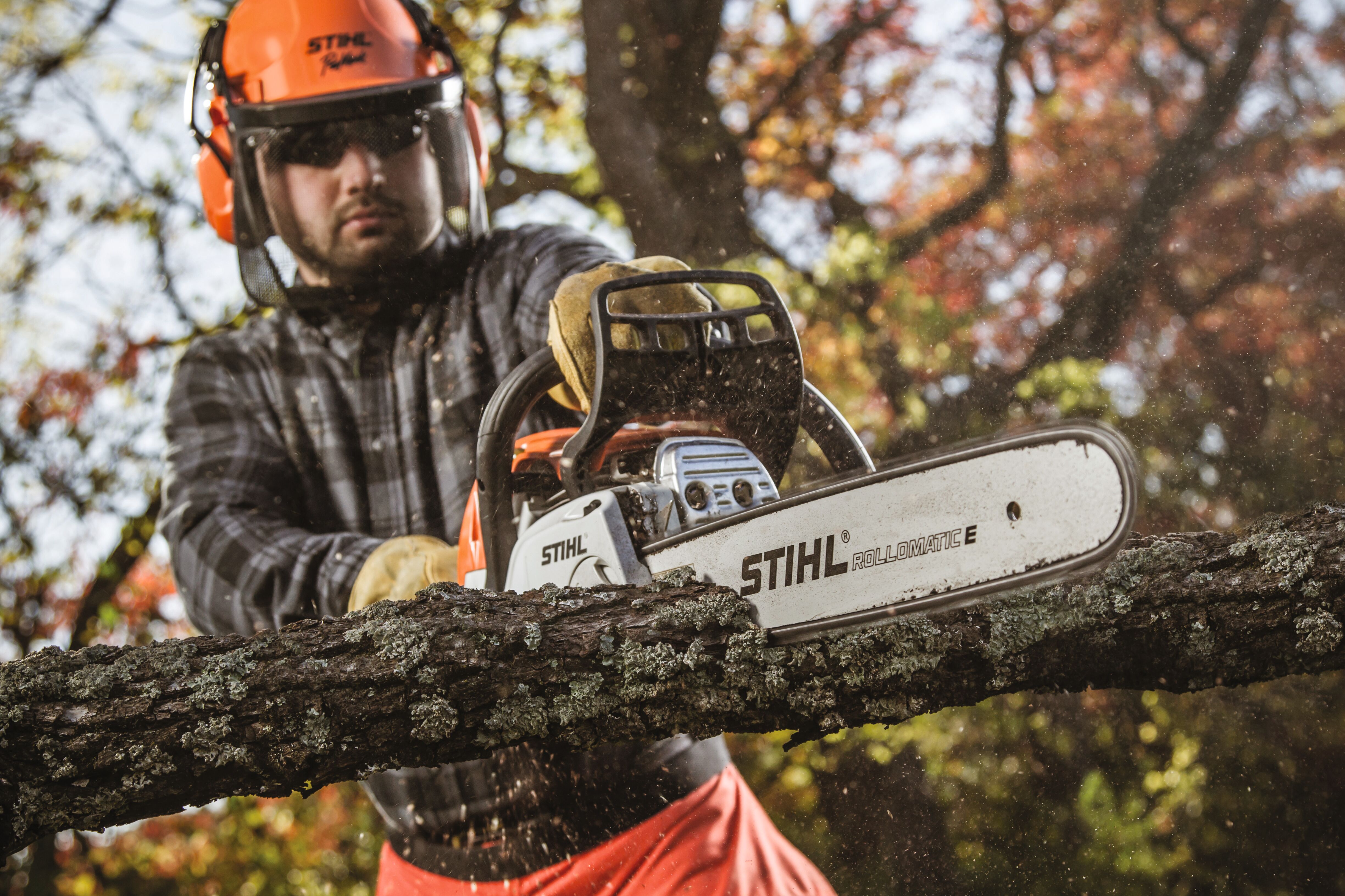 STIHL MS 251 Wood Boss Chainsaw with 18