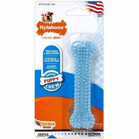 Dental Bone Petite Puppy Dog Chew Toy in Light Blue