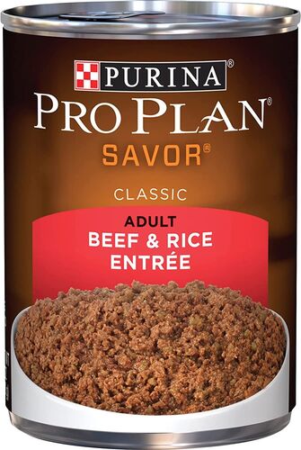 Savor Adult Beef & Rice Entre Canned Dog Food - 13 oz