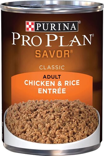 Savor Adult Chicken & Rice Entre Canned Dog Food - 13 oz