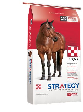 Strategy Professional Formula GX Horse Feed