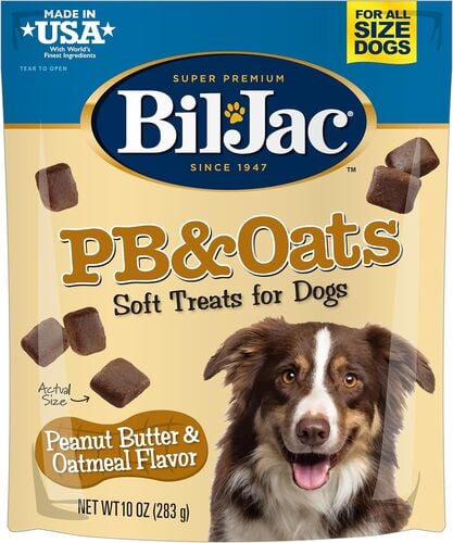 PB & Oats Soft Dog Treats - 10 oz