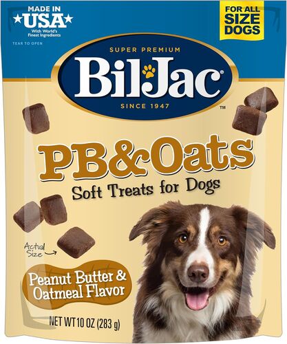 PB & Oats Soft Dog Treats - 10 oz