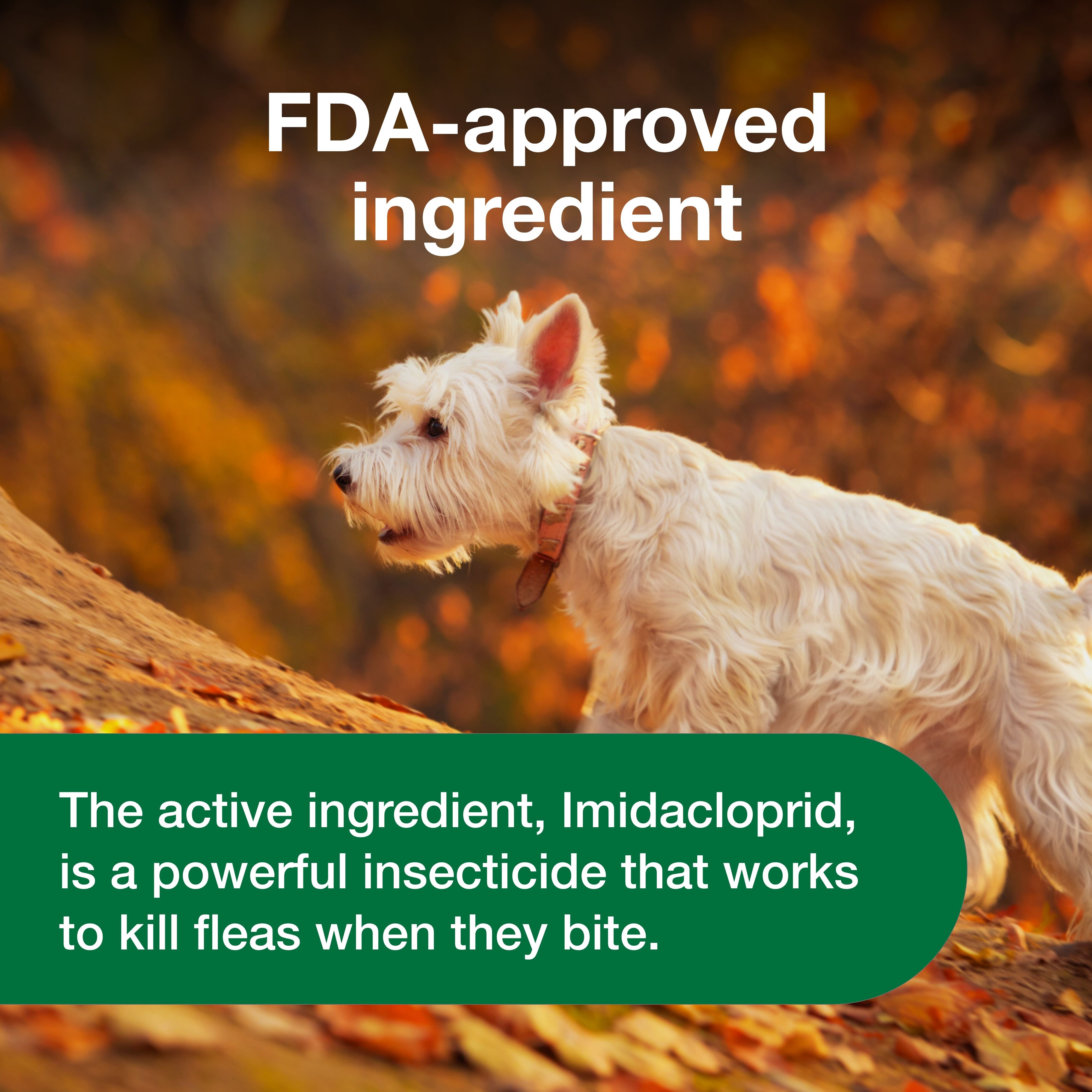 Chewable Flea Treatment