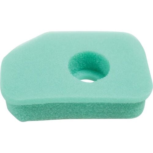 Air Filter - Briggs & Stratton 270251