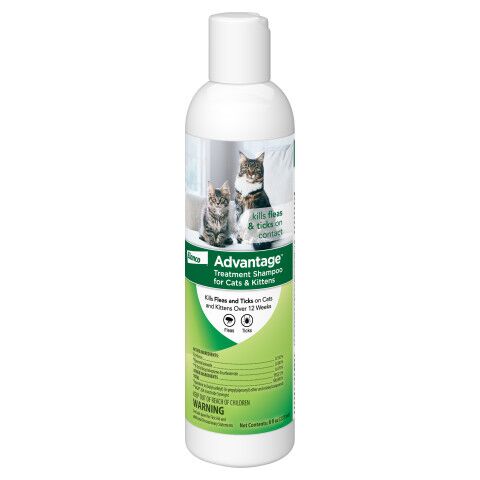 Flea & Tick Treatment Shampoo for Cats - 8 oz