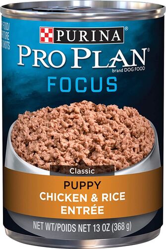 Focus Puppy Chicken & Rice Entre Canned Dog Food - 13 oz