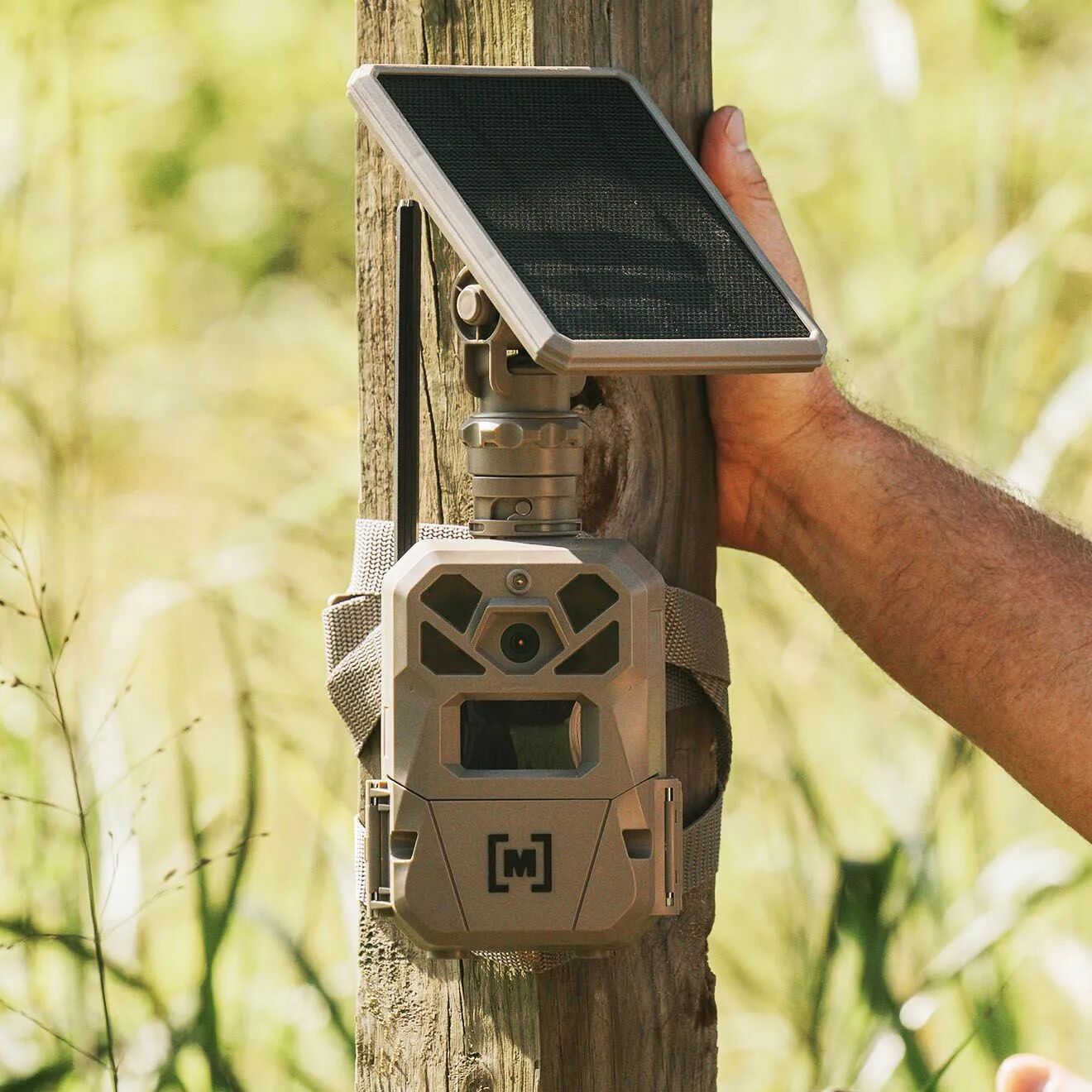 Moultrie EDGE Solar Cellular Trail Camera