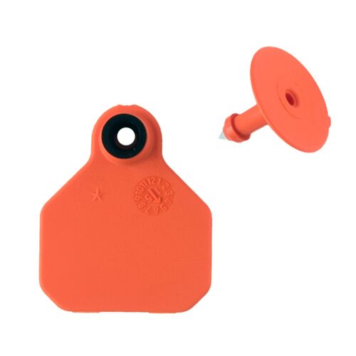 All-American 1* Mini Blank 2-Piece Ear Tag in Orange - 25 Tags