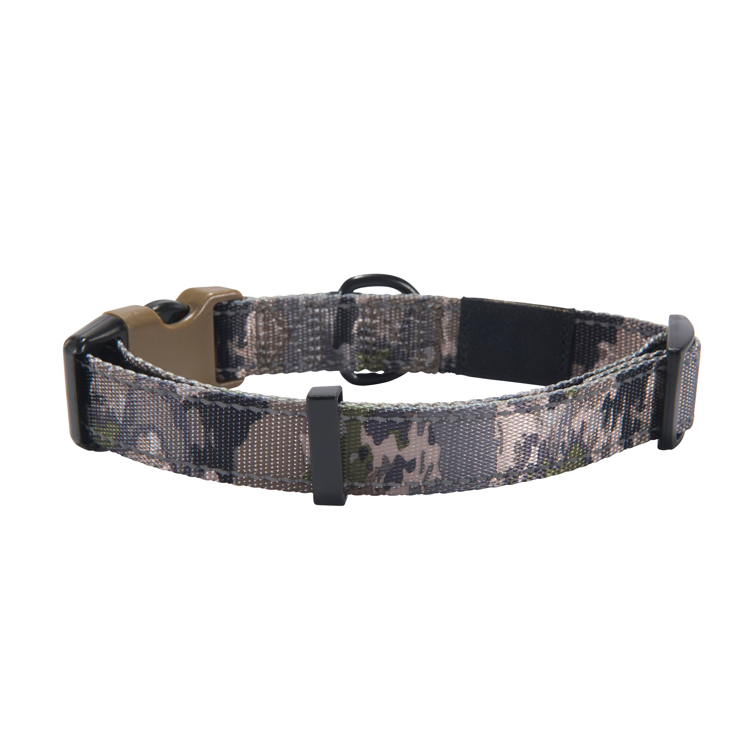 Classic Webbing Dog Collar