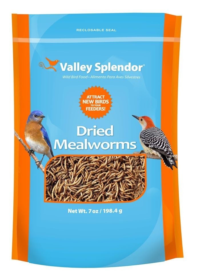 Dried Mealworms Bird Food