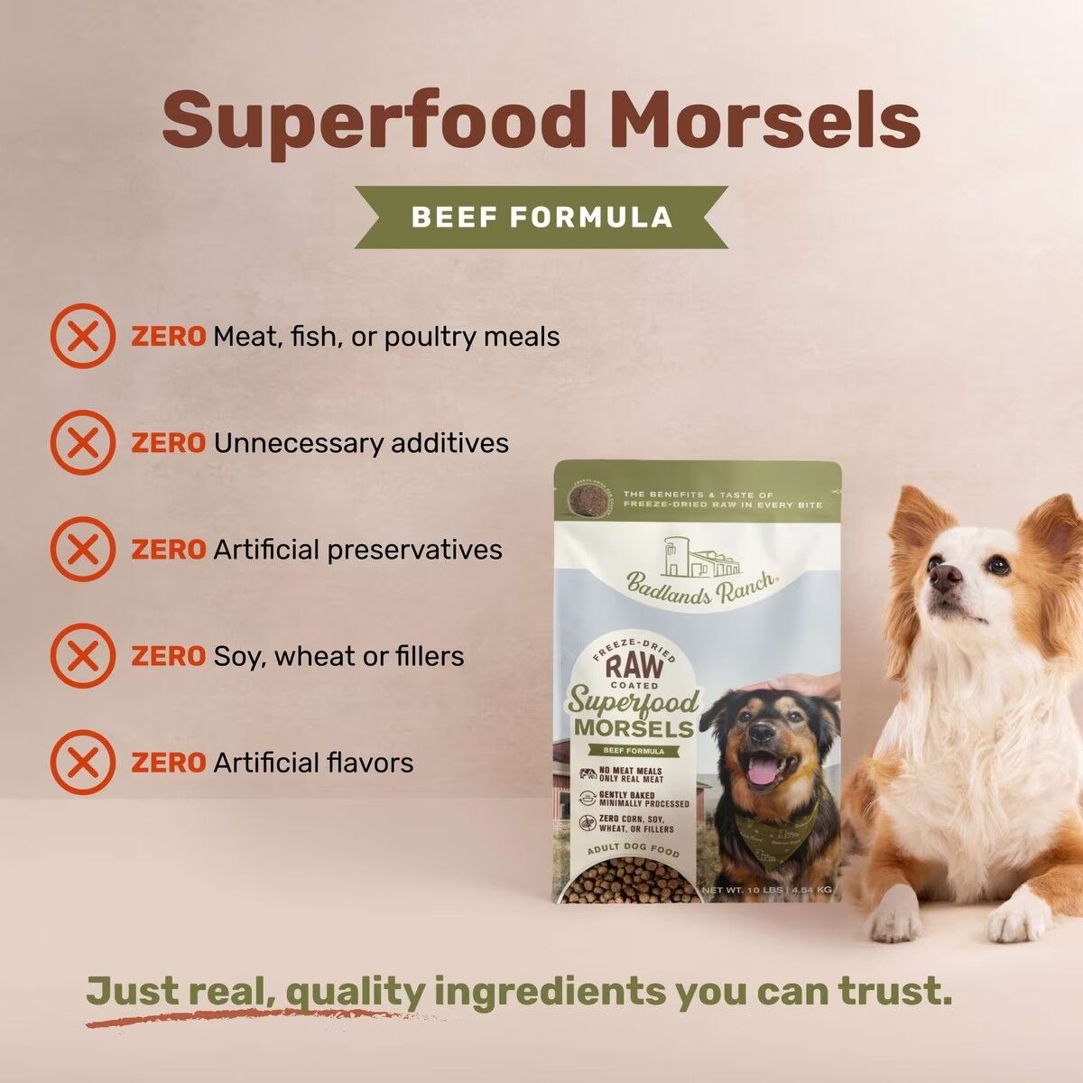Badlands Ranch Freeze-Dried Raw Coated Superfood Morsels in Beef