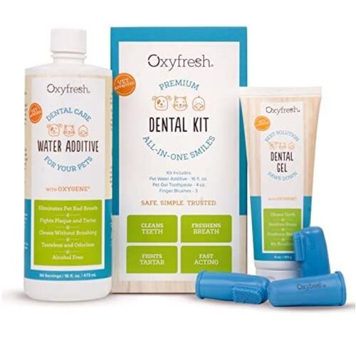 Premium Pet Dental Kit for Dogs & Cats