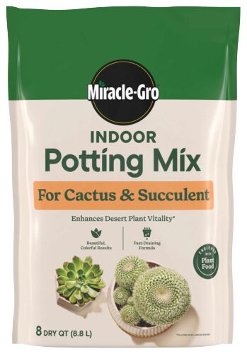 Indoor Potting Mix for Cactus & Succulent - 8 Quart