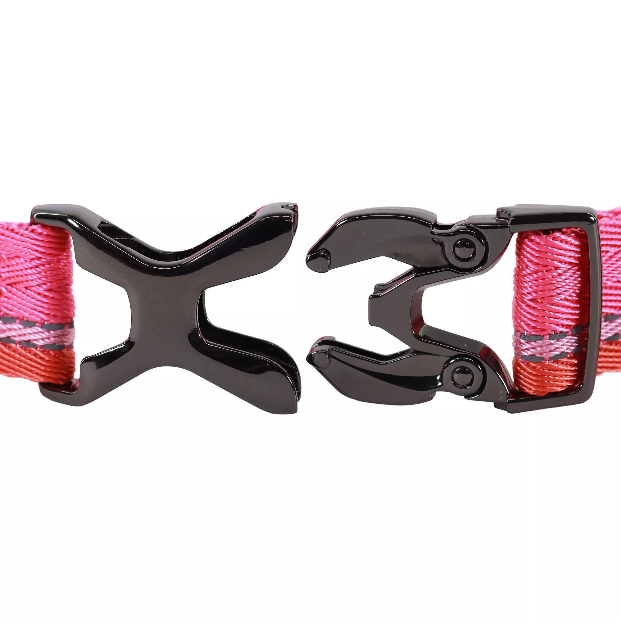 K9 Explorer Trek Adjustable Dog Collar