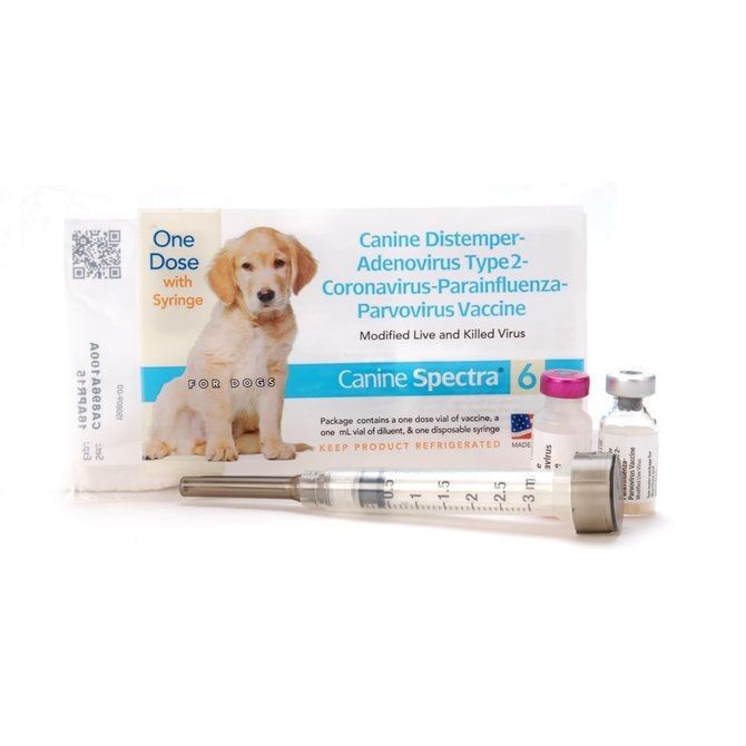 Durvet Canine Spectra 6 Vaccine For Dogs