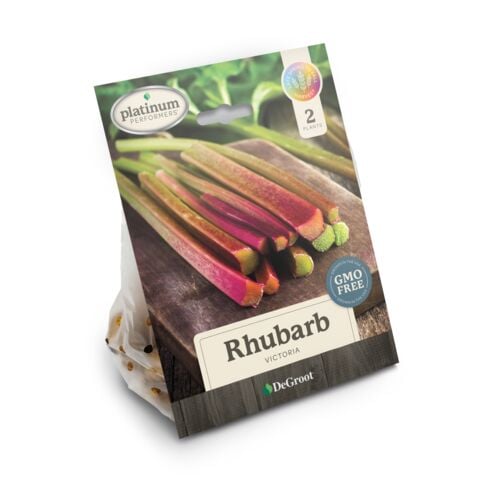 Rhubarb  - 'Victoria'  3 Plants