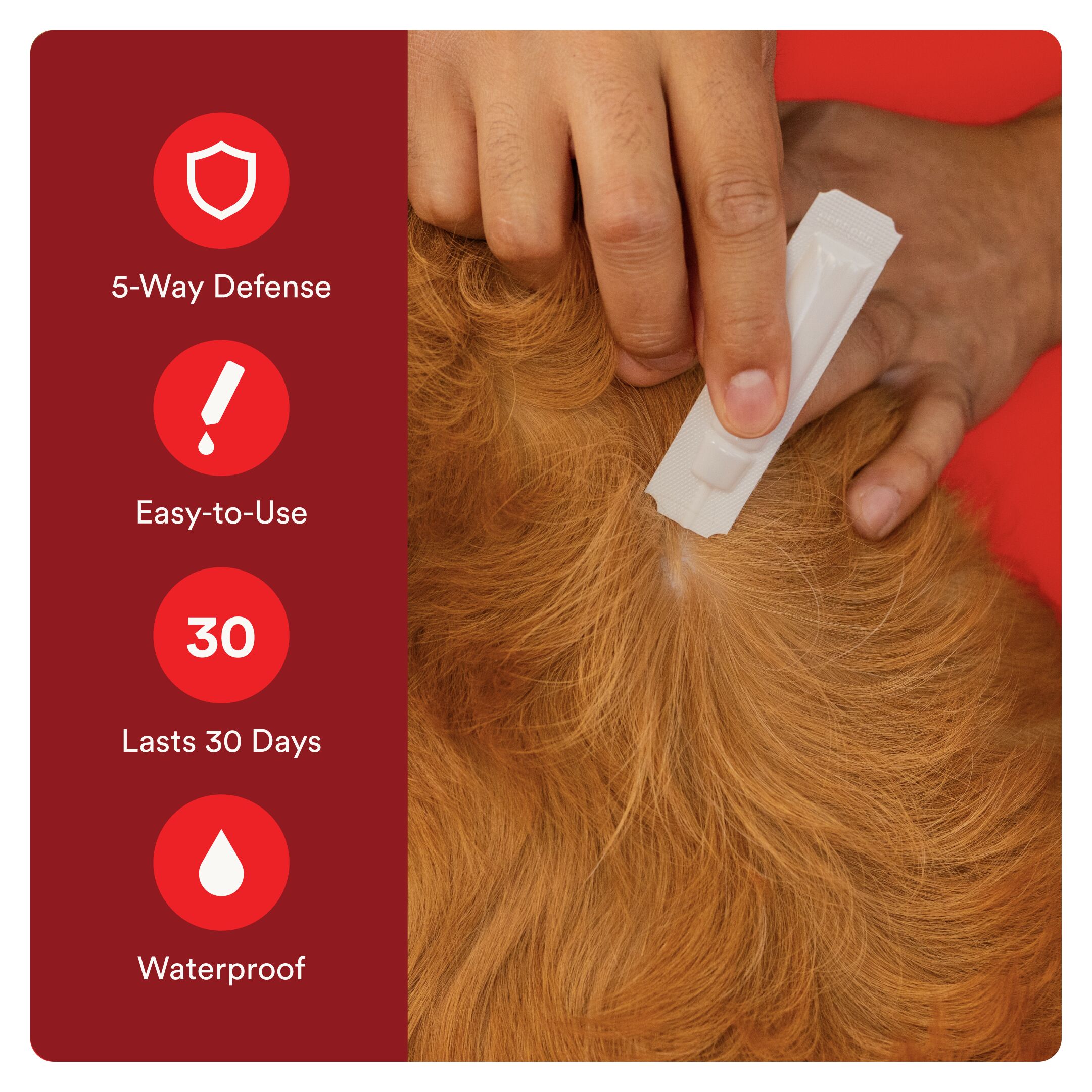 Ultra Flea & Tick Protection for Dogs