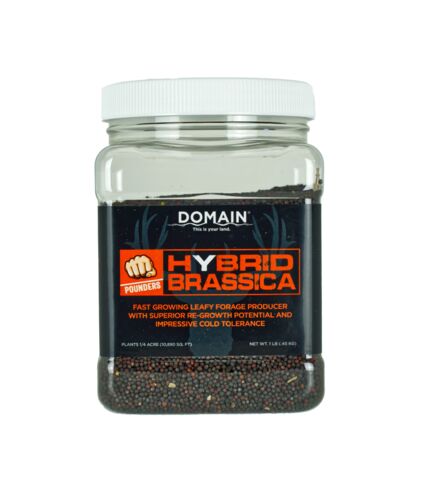 Pounder- Hybrid Brassica Food Plot Seed