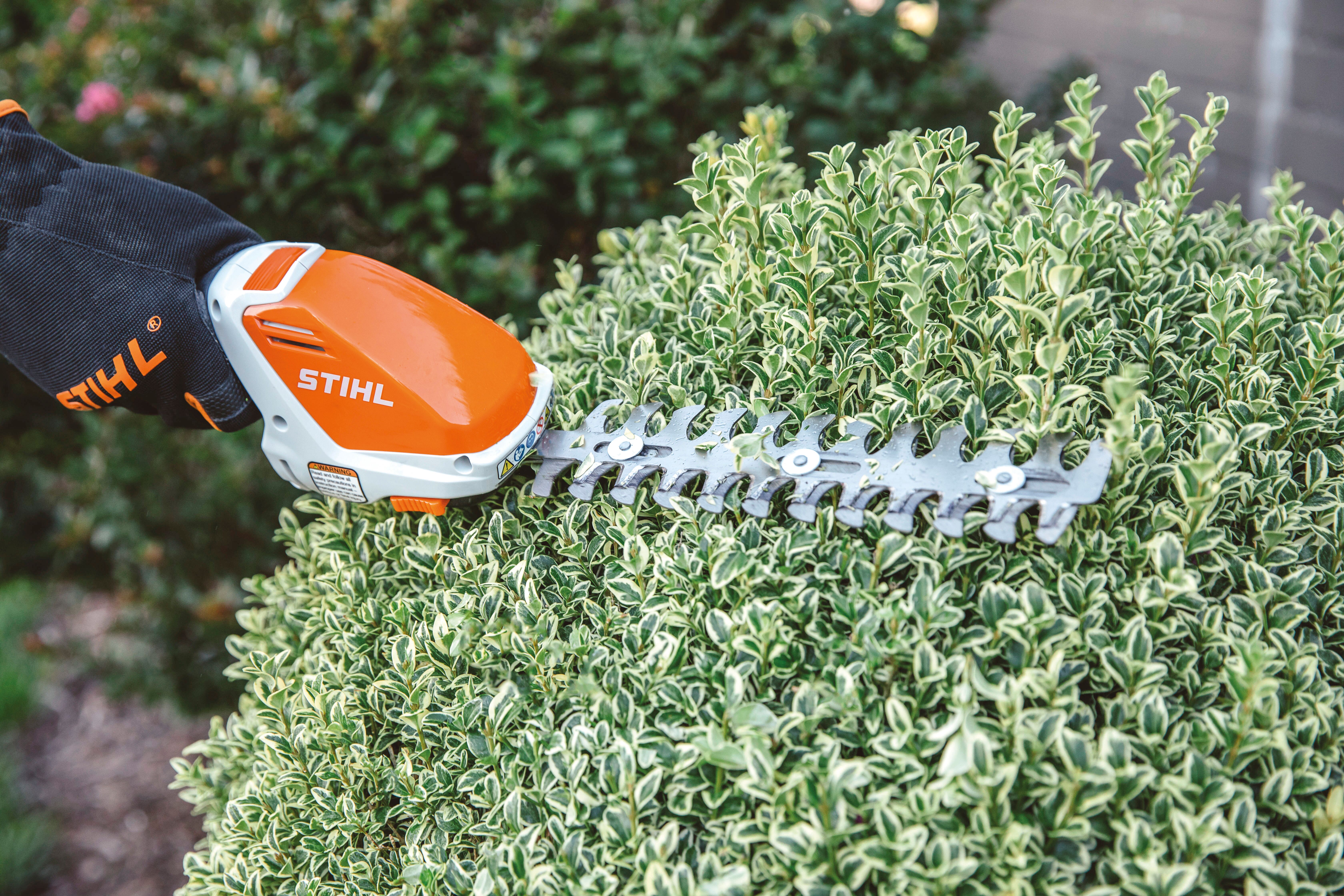 STIHL HSA-26 Cordless Shrub Shear - Set
