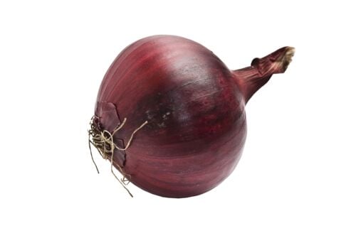 Red Bulk Onion Sets - Sold in Bulk Per Pound