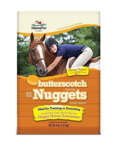 Manna Pro Butterscotch Bite Size Nuggets - 4 Lb