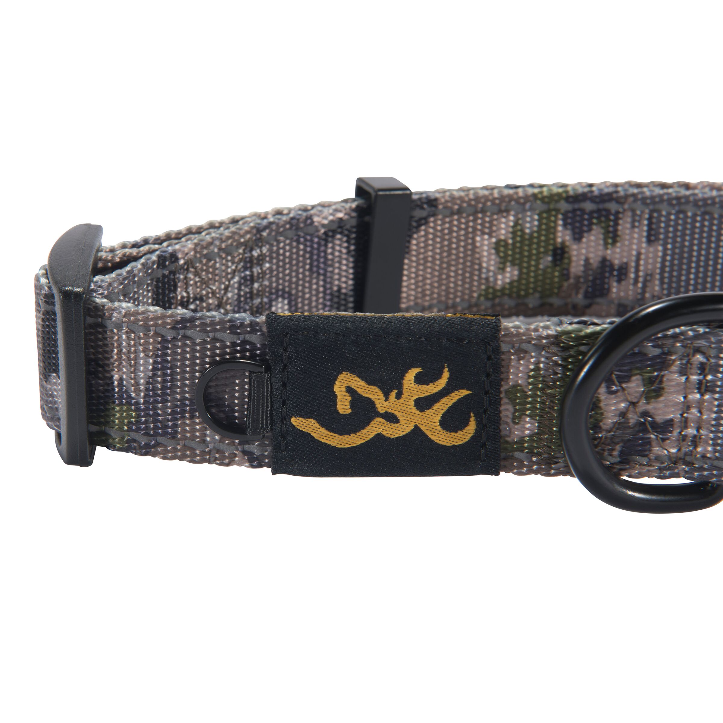 Classic Webbing Dog Collar