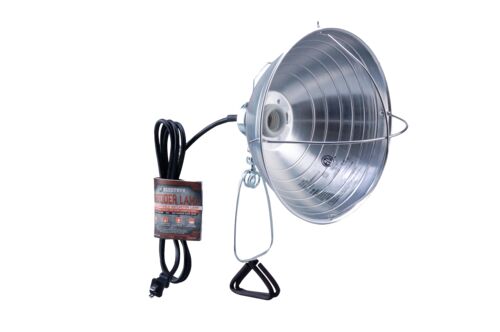 10" Brooder Light with Clamp