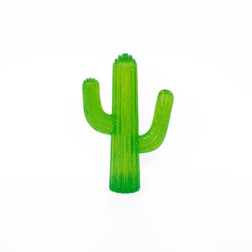 ZippyTuff Tough Squeaky Cactus Medium Outdoor Chew Toy for Dogs
