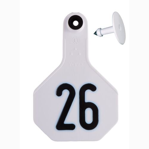 All-American 3* Medium #26-50 2-Piece Ear Tag in White - 25 Tags