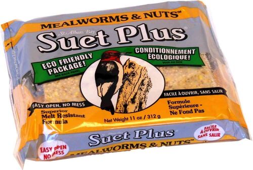 Suet Plus Mealworms & Nuts Suet Cake - 11 oz