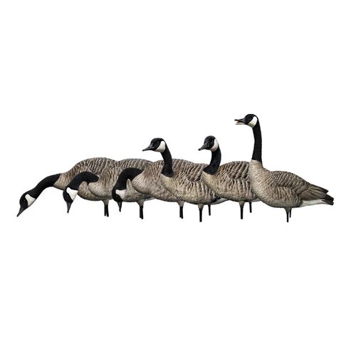 AXP Honkers Goose Decoy