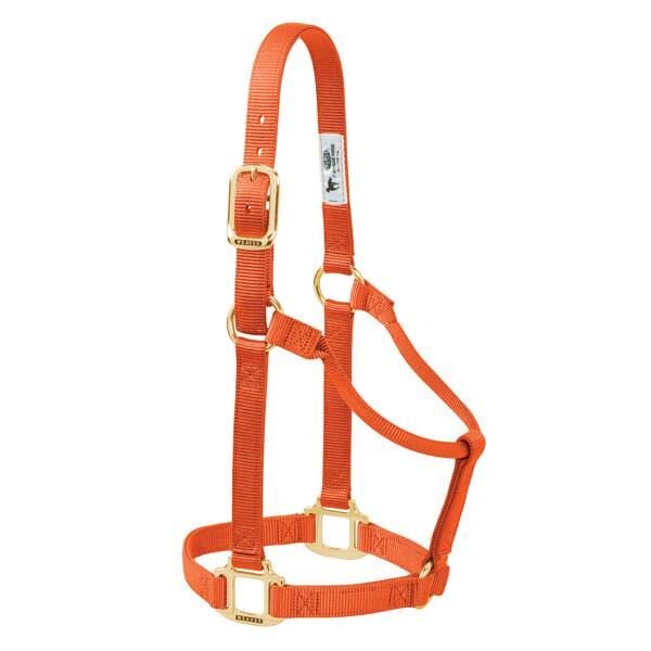 1" Original Non-Adjustable Nylon/Brass Halter
