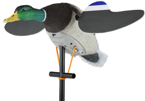 Junior II 6V Decoy
