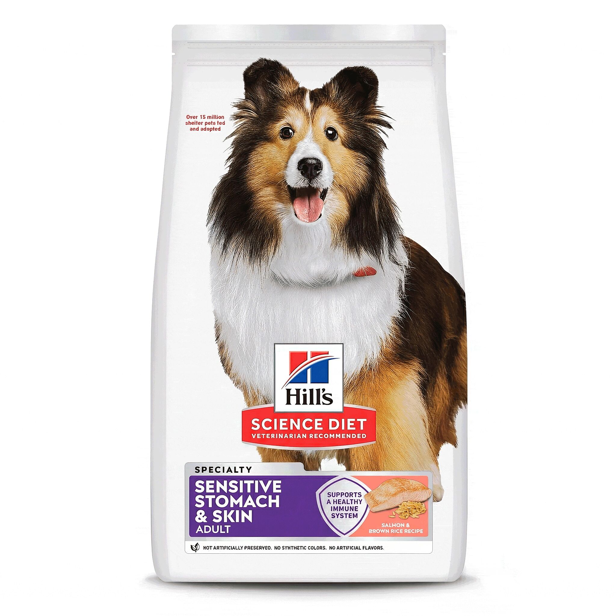 Adult Sensitive Stomach & Skin Salmon & Brown Rice Recipe Dry Dog Food
