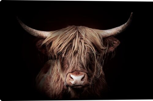 Out of the Dark Canvas Wall Art - 12" x 18"