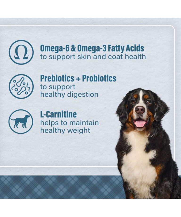 lamb l-carnitine Loyall Life Large Breed Meal & Brown Rice Recipe Adult Dog Food minerals (zinc proteinate Medisco Meso Glutathione – Material:Leatherette bone care